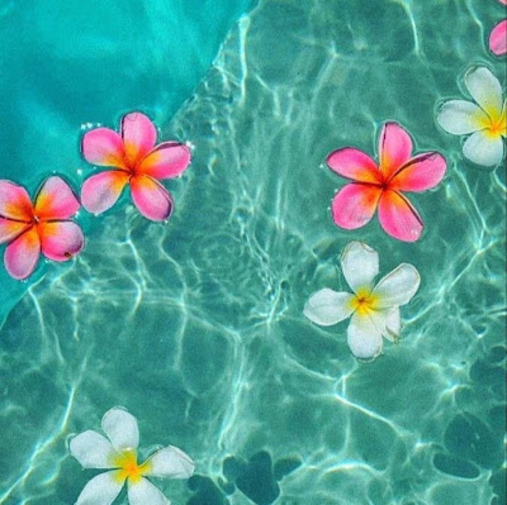 Meet your Posher, Lila